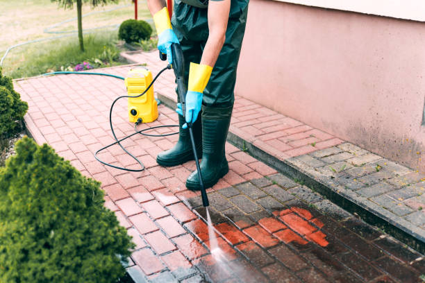 Best Brick and Stone Cleaning in Montgomery, MN